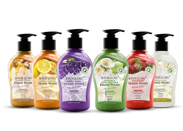 Anti Bacterial Hand Wash 500ml