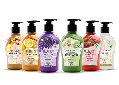 Anti Bacterial Hand Wash 500ml